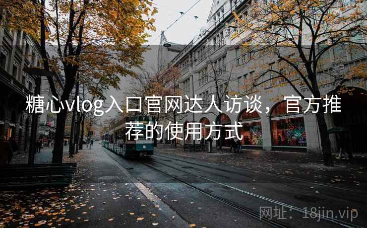 糖心vlog入口官网达人访谈，官方推荐的使用方式